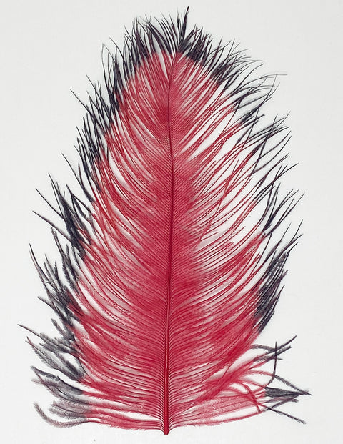 Spirit River Tip Dyed Ostrich Plume