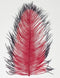 Spirit River Tip Dyed Ostrich Plume