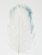 Spirit River Tip Dyed Ostrich Plume