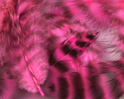 UV2 Grizzly Soft Hackle