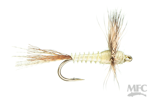 Biot Sparkle Dun - PMD