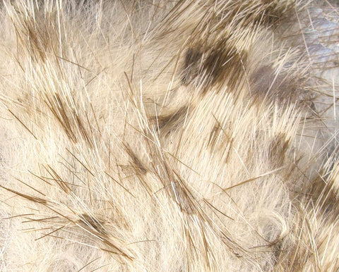 Hareline Dubbin Brown Barred Rabbit Strips