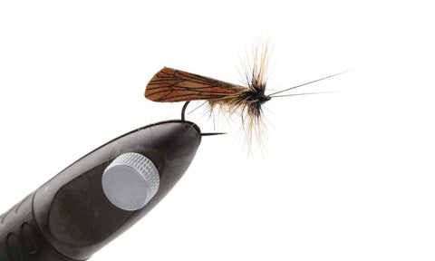 Pro Sportfisher Caddis Wing