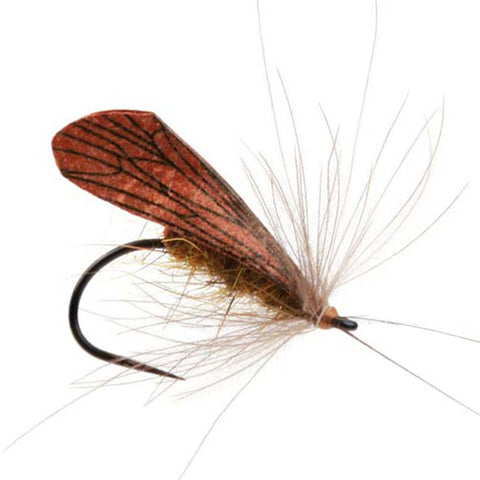 Pro Sportfisher Caddis Wing