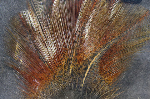 Hareline Dubbin Coq de Leon