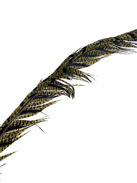 Hareline Dubbin Lady Amherst Center Tail Feather