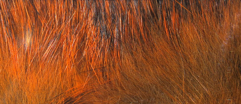 Hareline Dubbin Cross Cut Rabbit Strips