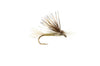 EC Caddis