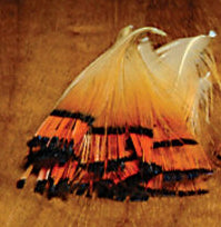 Hareline Dubbin Golden Pheasant Tippets - Small