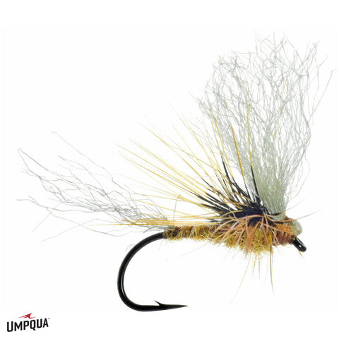 Morrish's May Day - March Brown