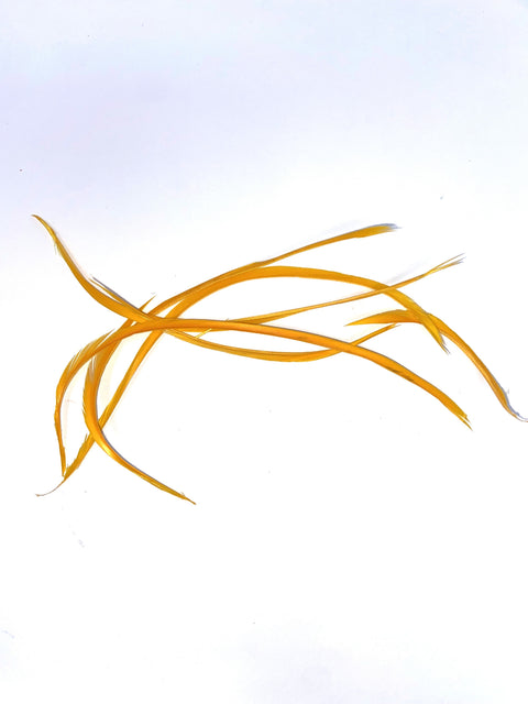 Stripped Goose Biots (mixed brands)