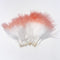 Spirit River Tiny Tip Marabou