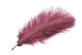 Montana Fly Company Ostrich Plume