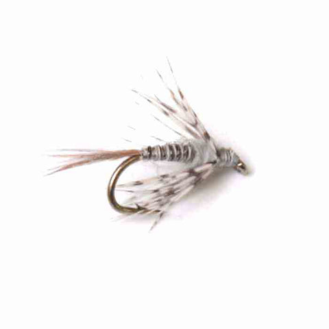 Callibaetis - Soft Hackle