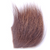 Elk Mane