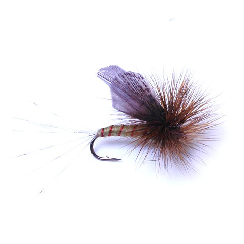 Green Drake Adult