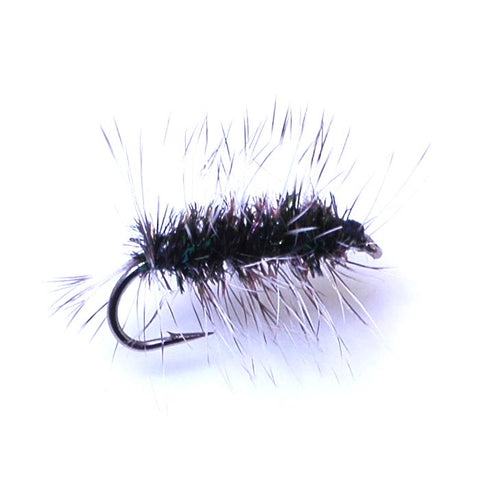 Griffith Gnat