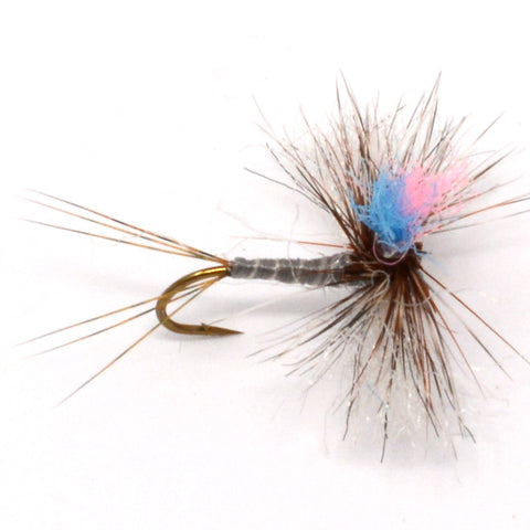 Guide Winna Spinna - Adams