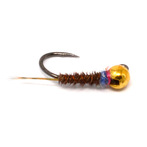 Jig Frenchie - Blue