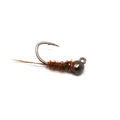 Jig Frenchie - Black