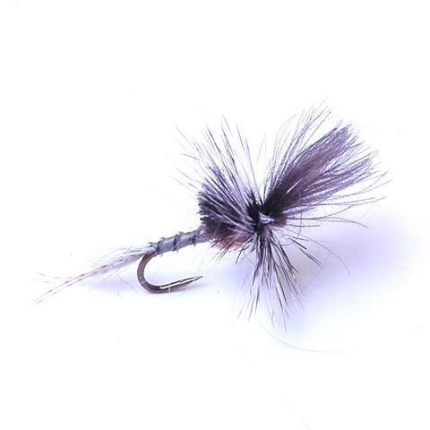 Last Chance Cripple Callibaetis