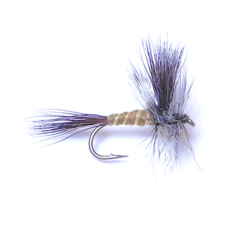 Lawson's Green Drake Standard