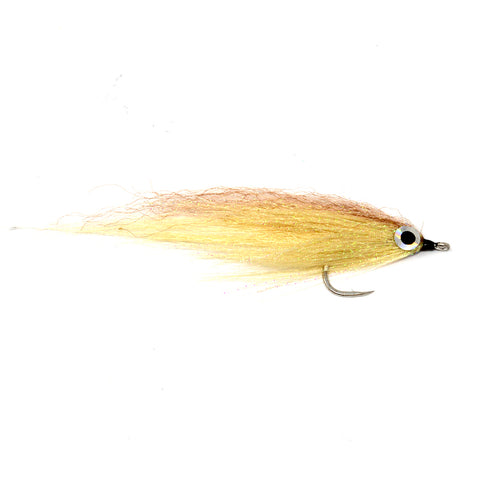 Magnetic Minnow