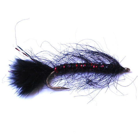 Mini Leech