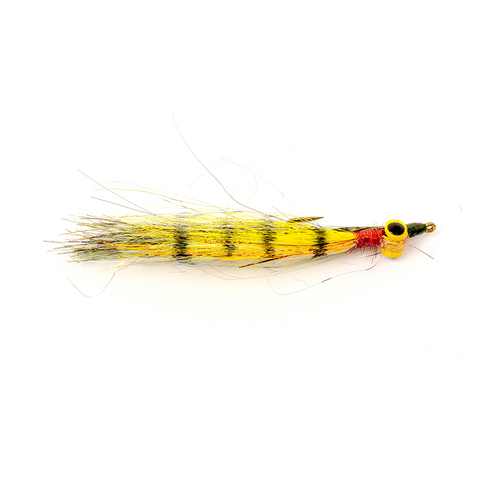 Mojo Minnow