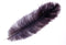 Montana Fly Company Ostrich Plumes