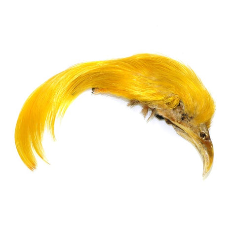 Nature's Spirit Dyed Golden Pheasant Crest
