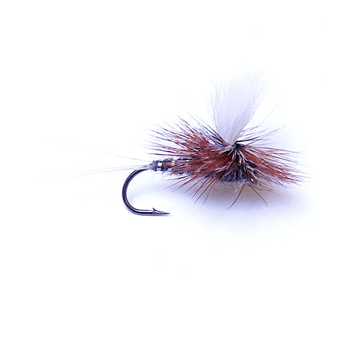Para Wulff - Adams