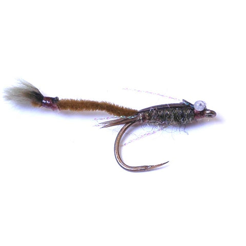 Sierra Damsel