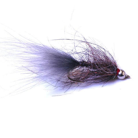 Hale Bop Leech