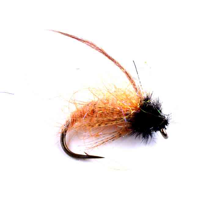October Caddis Pupa– Deschutes Angler Fly Shop