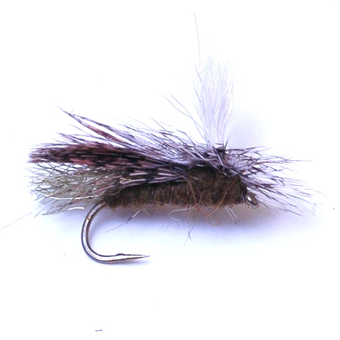 EZ Caddis– Deschutes Angler Fly Shop