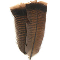 Nature's Spirit SELECT Ozark Mottled Turkey Tails