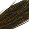 Strung Peacock Herl - Dyed
