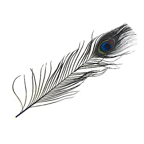 Nature's Spirit Peacock Sticks