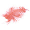 Big Fluffy Ostrich Plume