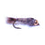 Gold Bead Hares Ear