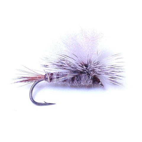 Guide Chute Hares Ear