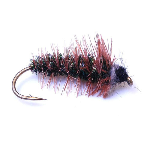 Hazel Cased Caddis