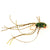 Herman's Frog