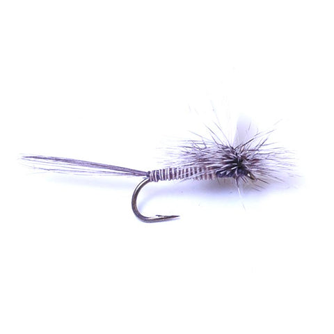 Paraquill Callibaetis
