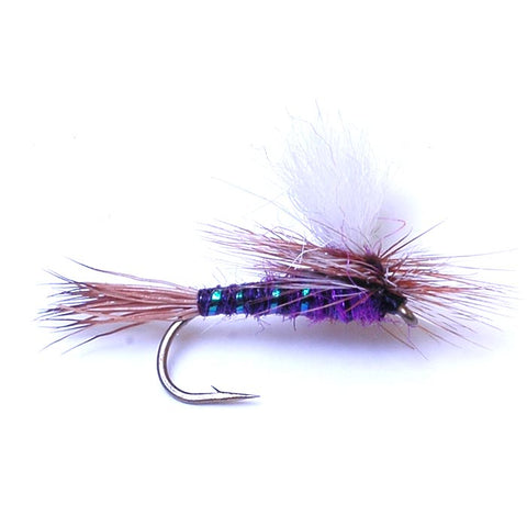 Para Wulff - Purple
