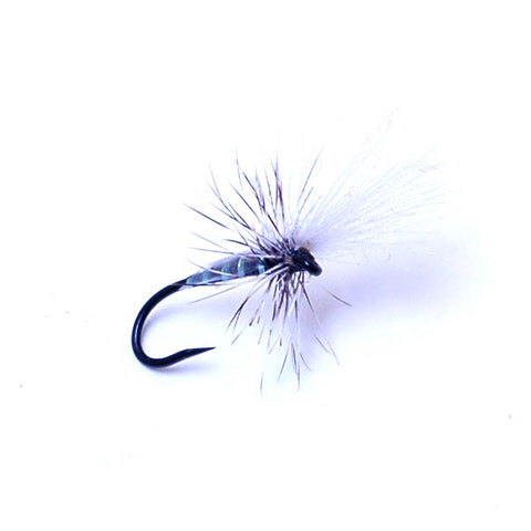 Silvey's Midge Adult