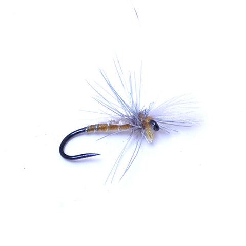 Silvey's Midge Adult